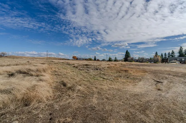a view of a field of an ocean