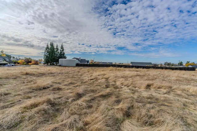 a view of a dry yard with trees