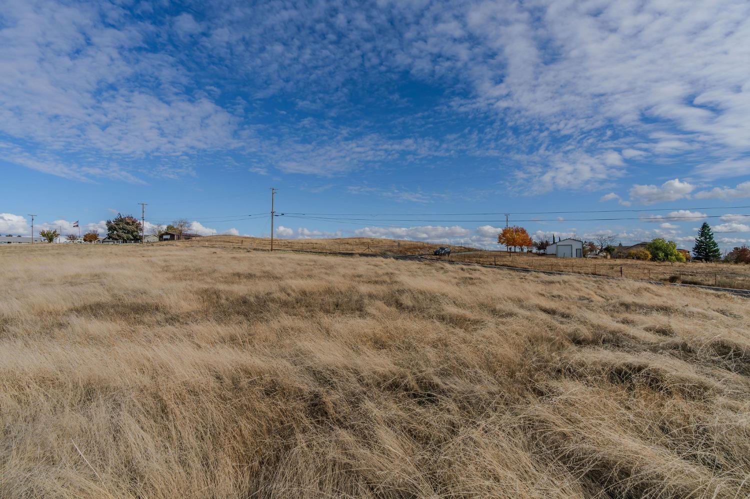 1995 Fox Court Ione, CA 95640 - Photo 19 of 42 a view of a yard with an empty space and trees