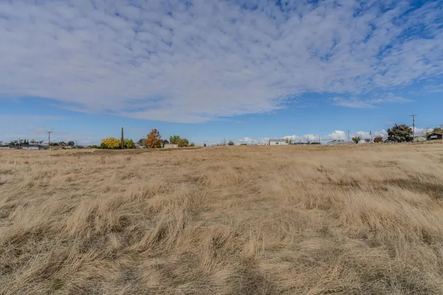 a view of pool with a yard and trees in the background
