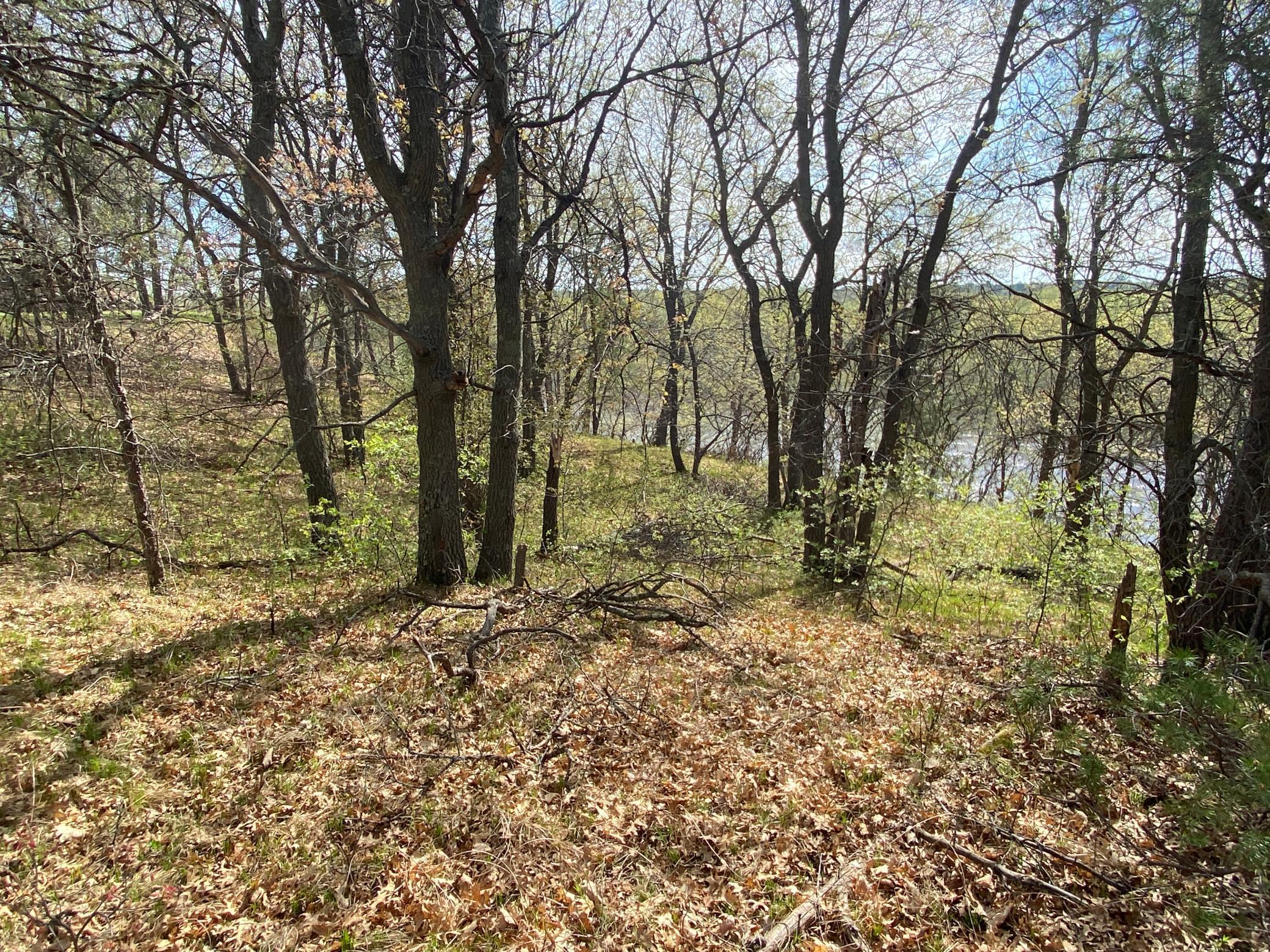 Tbd Eagle Ridge Drive South Baxter, MN 56425 - Photo 6 of 9
