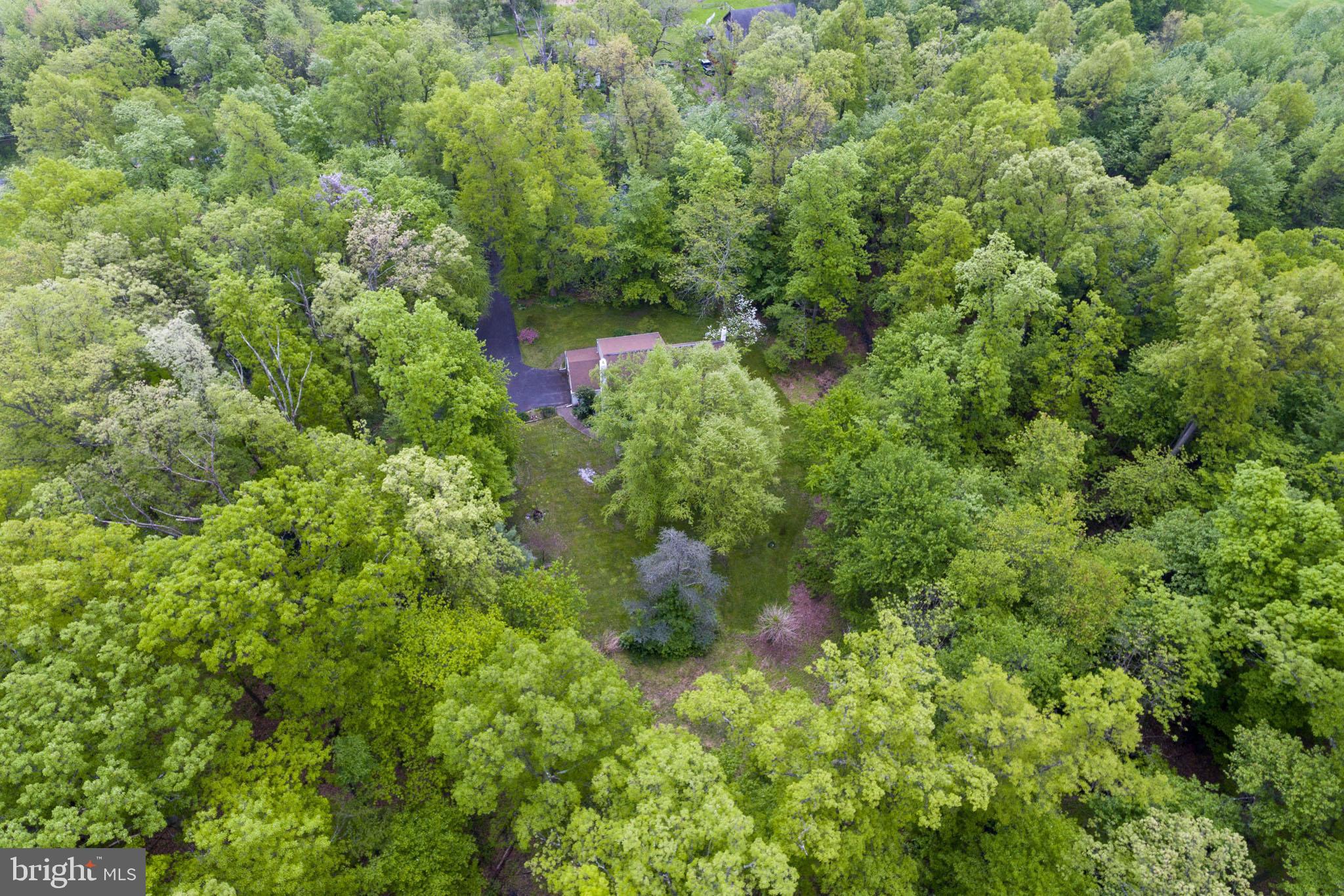6249 Stump Road Pipersville, PA 18947 - Photo 2 of 31 Situated for complete privacy