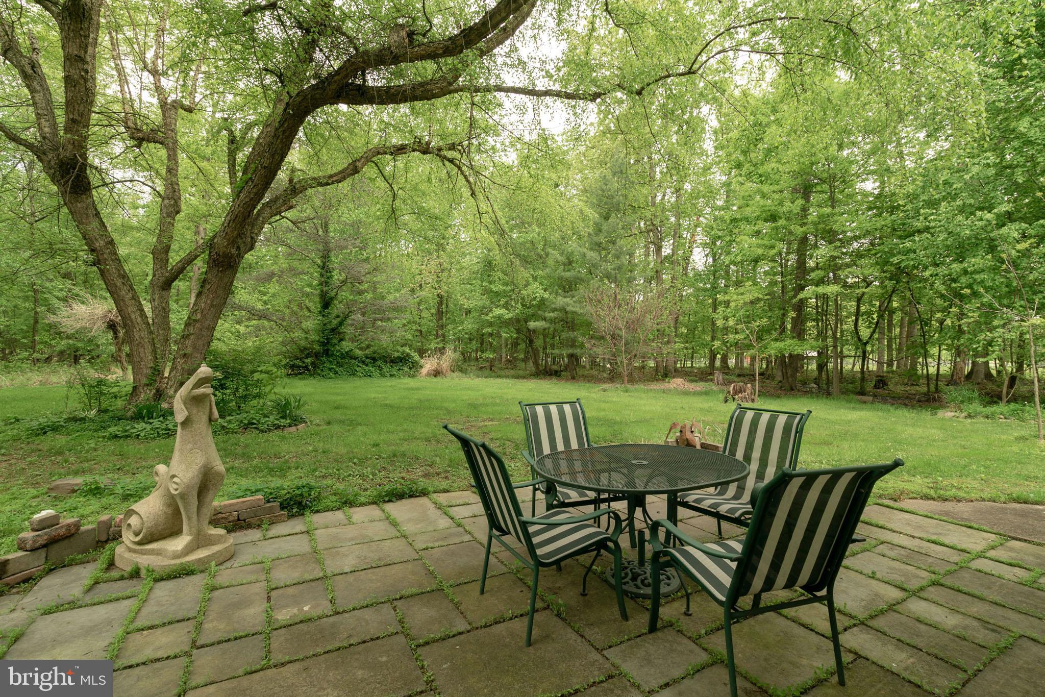 6249 Stump Road Pipersville, PA 18947 - Photo 24 of 31 Completely private back patio