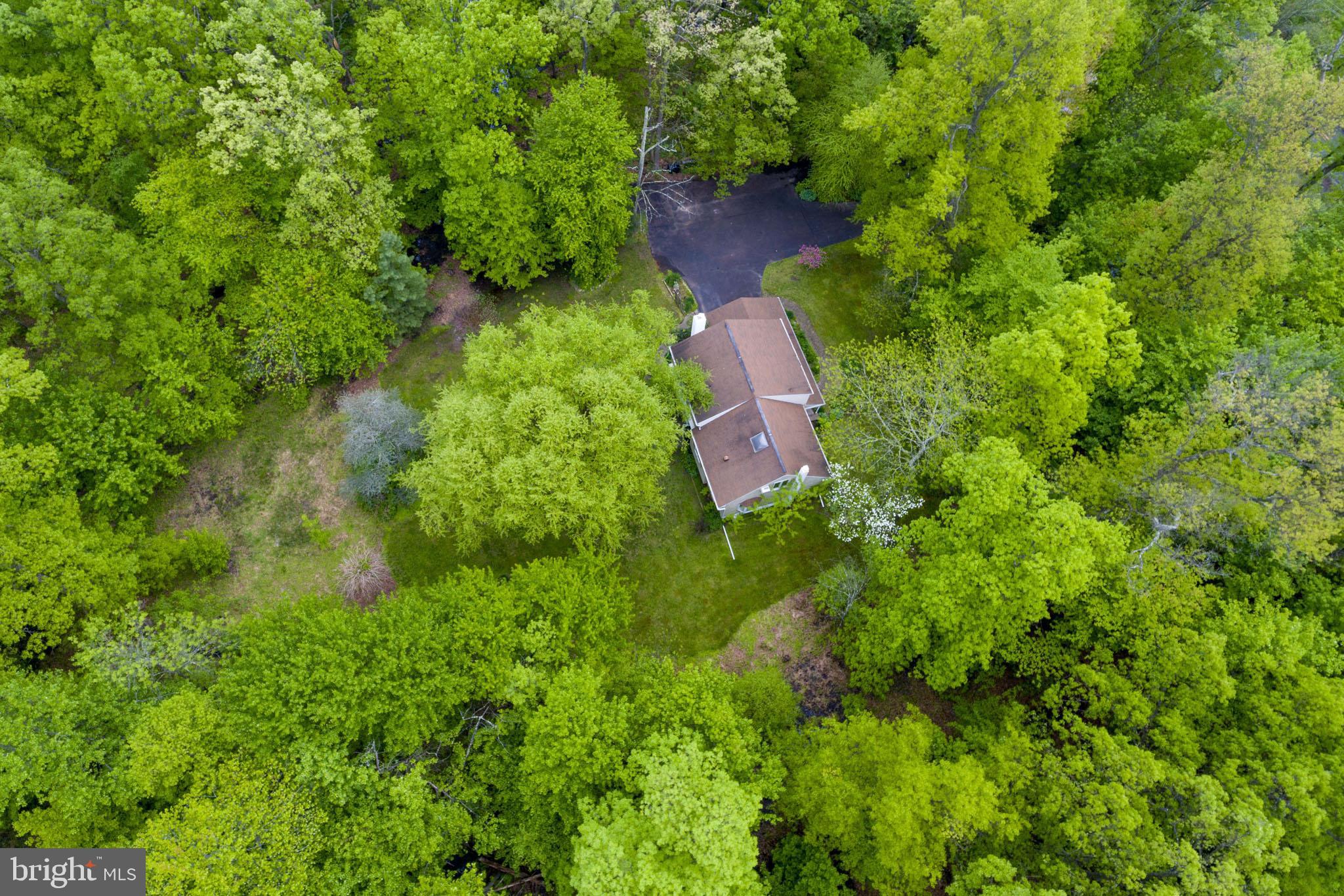6249 Stump Road Pipersville, PA 18947 - Photo 28 of 31 Gorgeous woodland setting