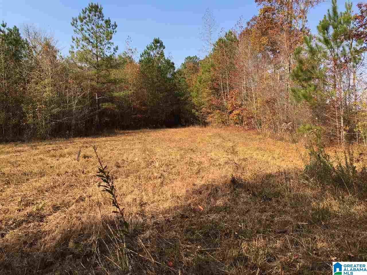 0 Wooden Trace Circle, Unit 30 Springville, AL 35146 - Photo 16 of 25