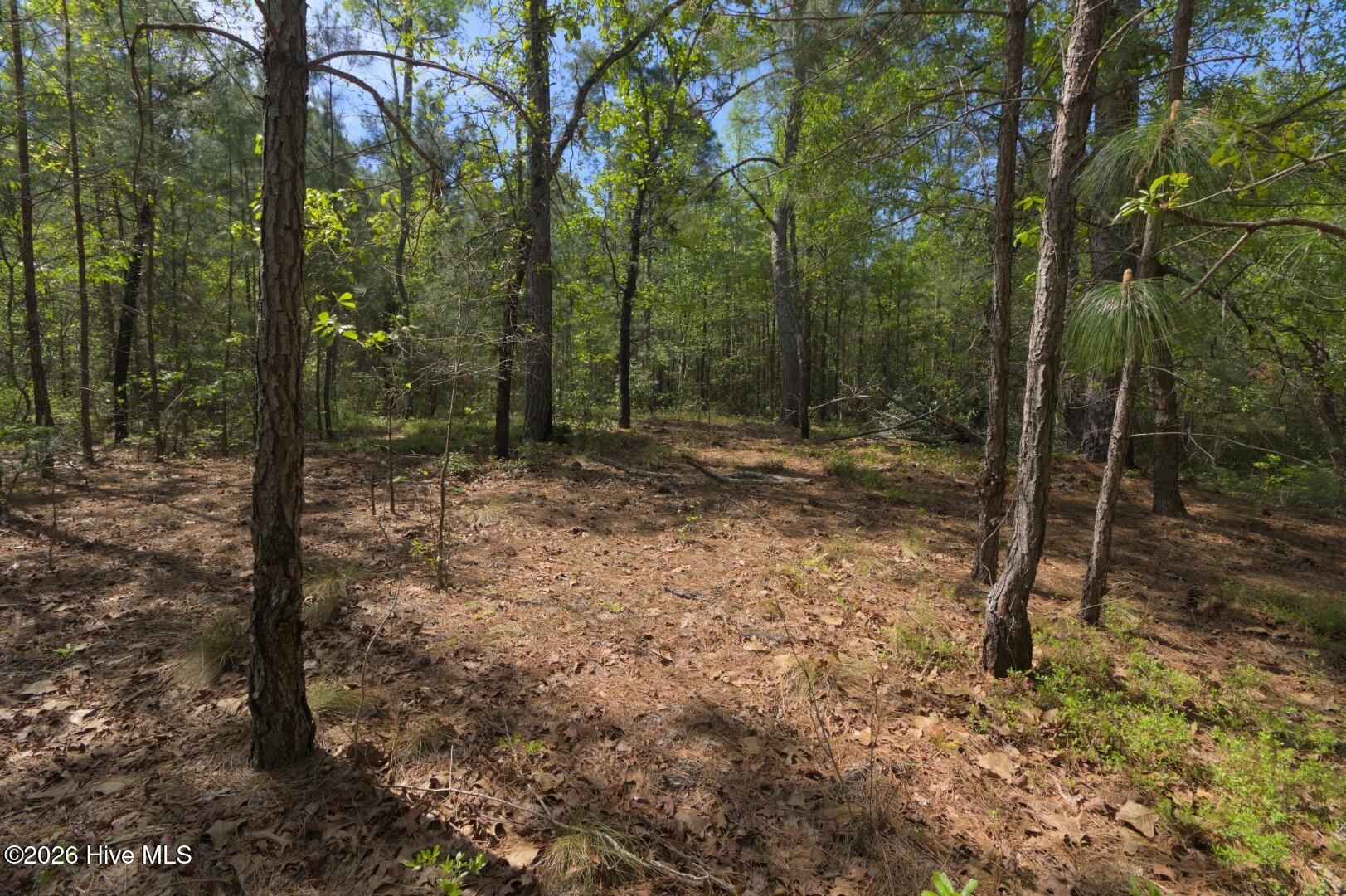 0 Sr 1226 Road Aberdeen, NC 28315 - Photo 34 of 43 Ground Site 14 Open Area