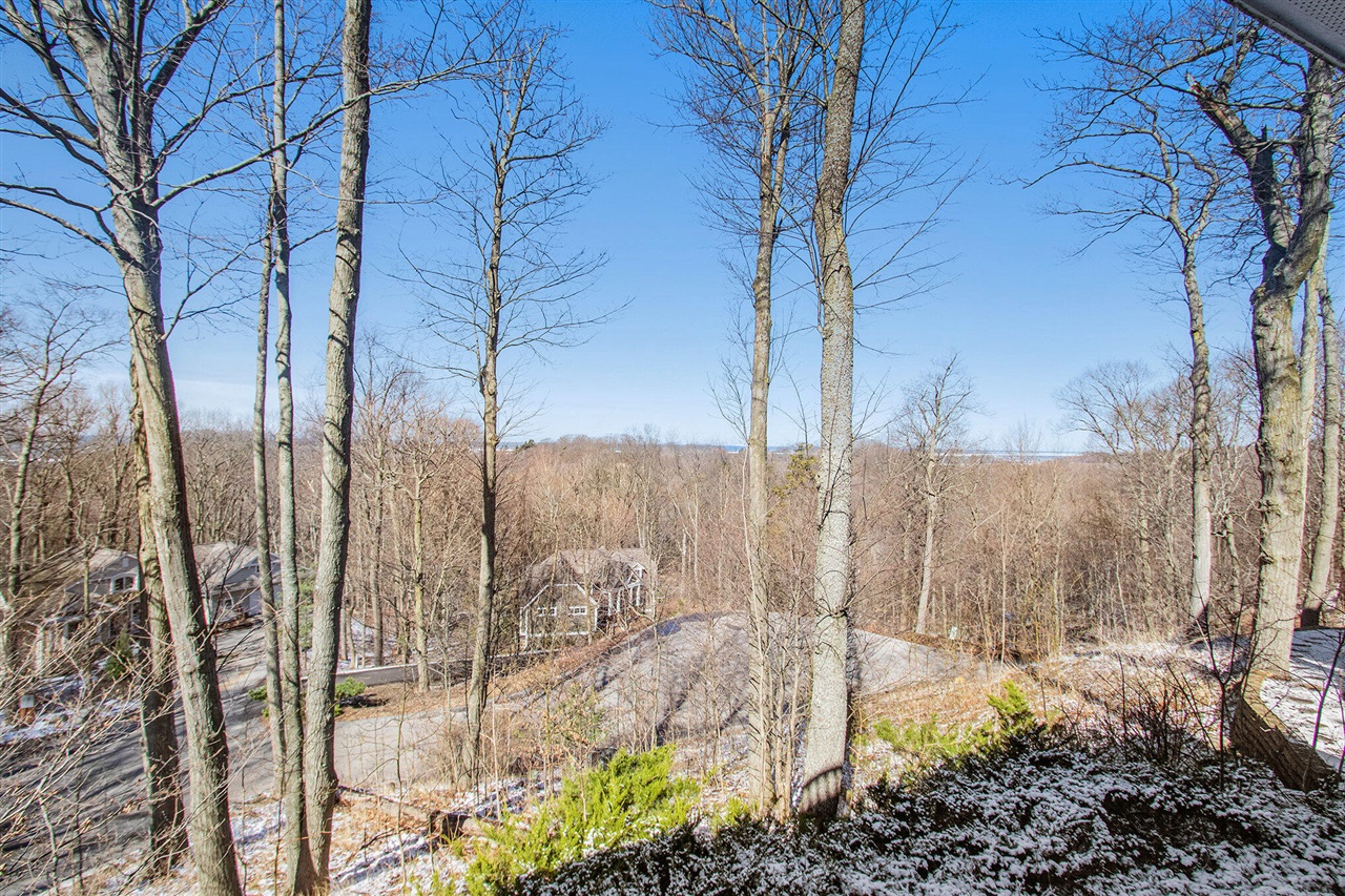 4679 Forest Ridge Drive Holland, MI 49423 - Photo 55 of 99