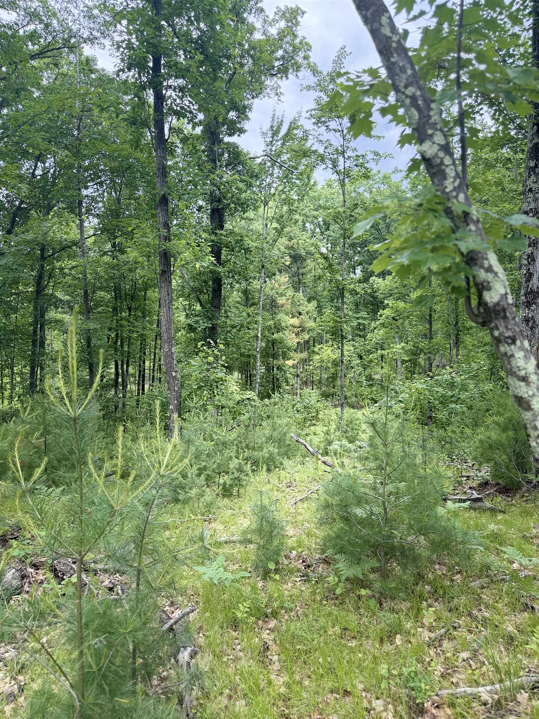 Lot 8 Rhett Lane, Unit 8 Wausaukee, WI 54177 - Photo 5 of 16
