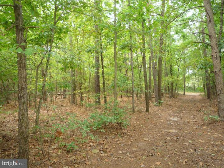305 Stokes Road Vincentown, NJ 08088 - Photo 21 of 25 Gallery Image 21