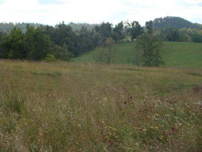 4 Lebanon Road Danville, KY 40422 - Photo 2 of 4 Photo 2