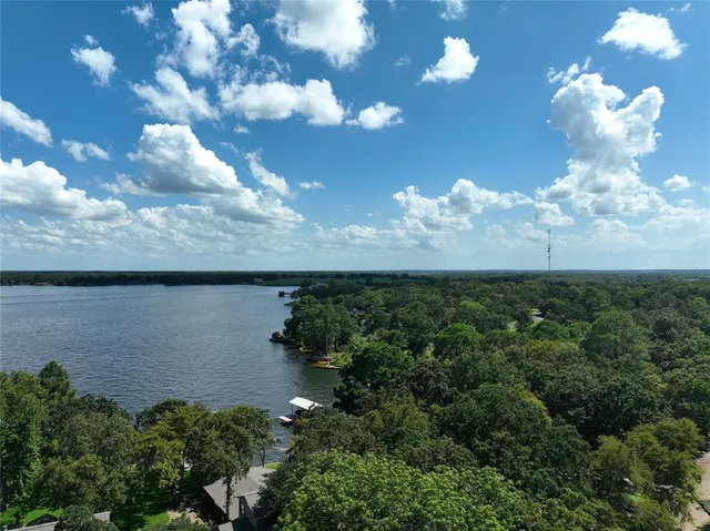 a view of a lake in middle of forest