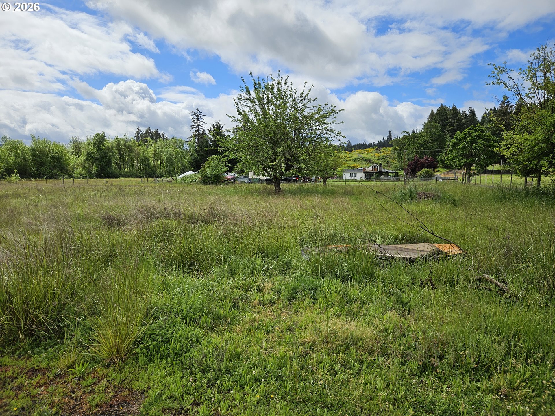 31782 Gowdyville Road Cottage Grove, OR 97424 - Photo 27 of 29