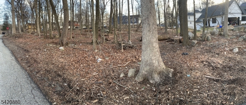 48 Mountain Road Hopatcong, NJ 07843 - Photo 1 of 1 a backyard of a house