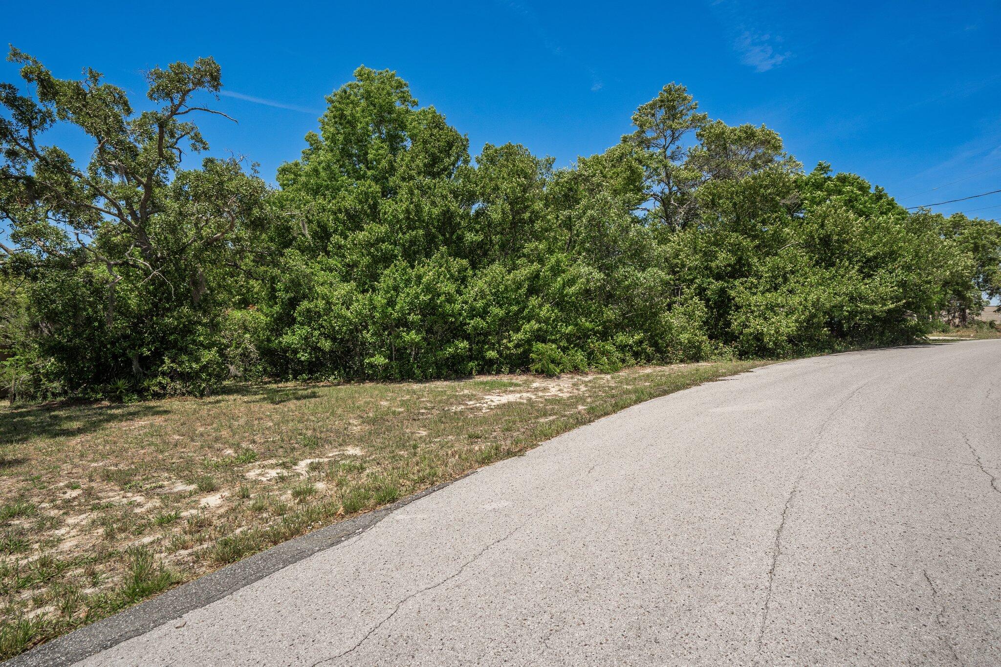 0 Belmar Avenue Spring Hill, FL 34608 - Photo 8 of 8 Gallery Image 8