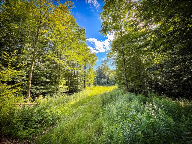 $524,900 | 3642 Van Brocklin Road, Worth, NY 13659