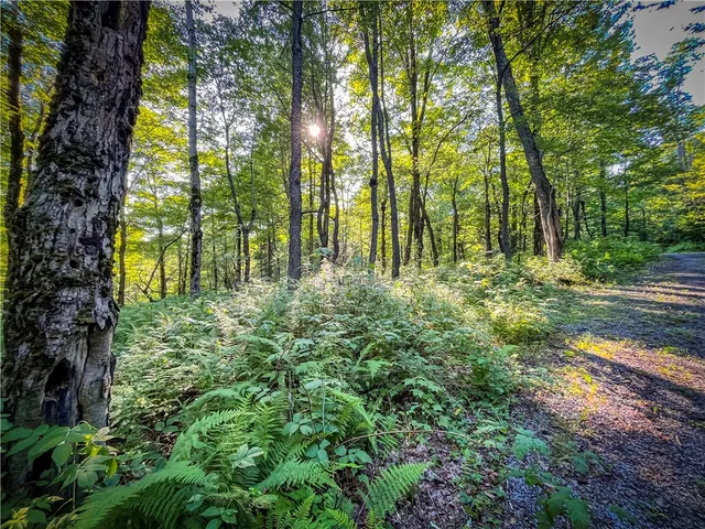 $524,900 | 3642 Van Brocklin Road, Worth, NY 13659