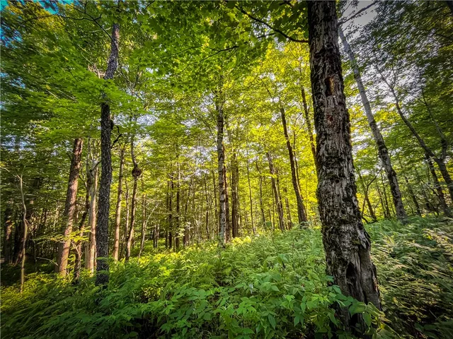 $524,900 | 3642 Van Brocklin Road, Worth, NY 13659