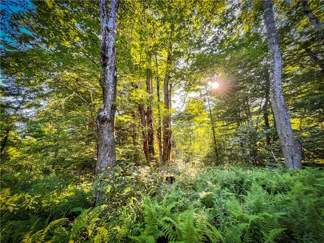 $524,900 | 3642 Van Brocklin Road, Worth, NY 13659