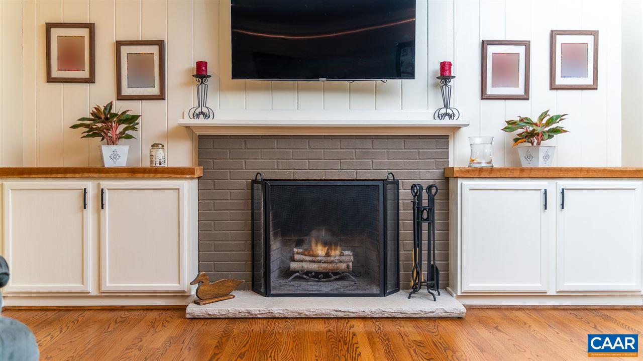 2417 Northfield Road Charlottesville, VA 22901 - Photo 41 of 47 a living room with a fireplace and potted plants