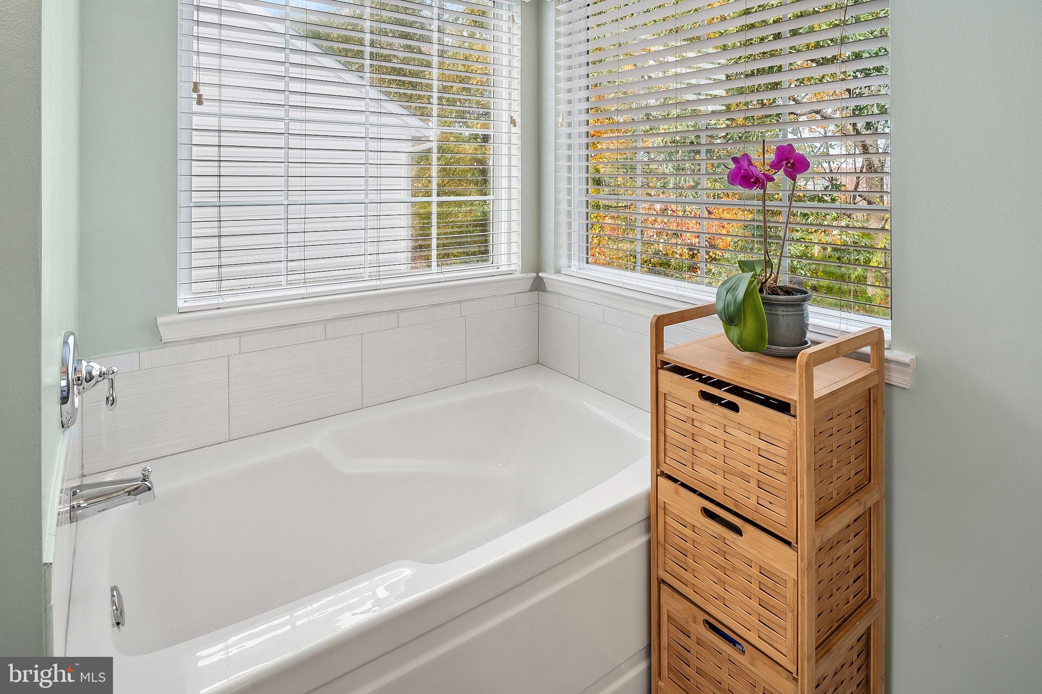 716 Wagner Farm Road Millersville, MD 21108 - Photo 29 of 45 a bath tub sitting next to a window