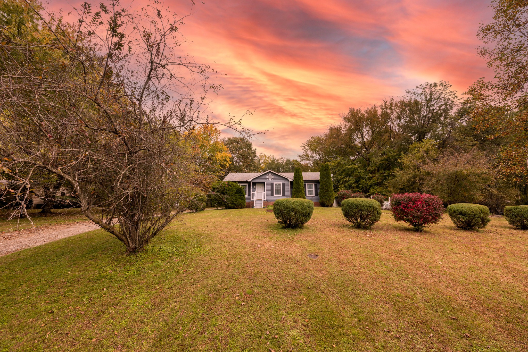 5622 Hopewell Road Springfield, TN 37172 - Photo 3 of 23 a view of a yard with an outdoor and trees