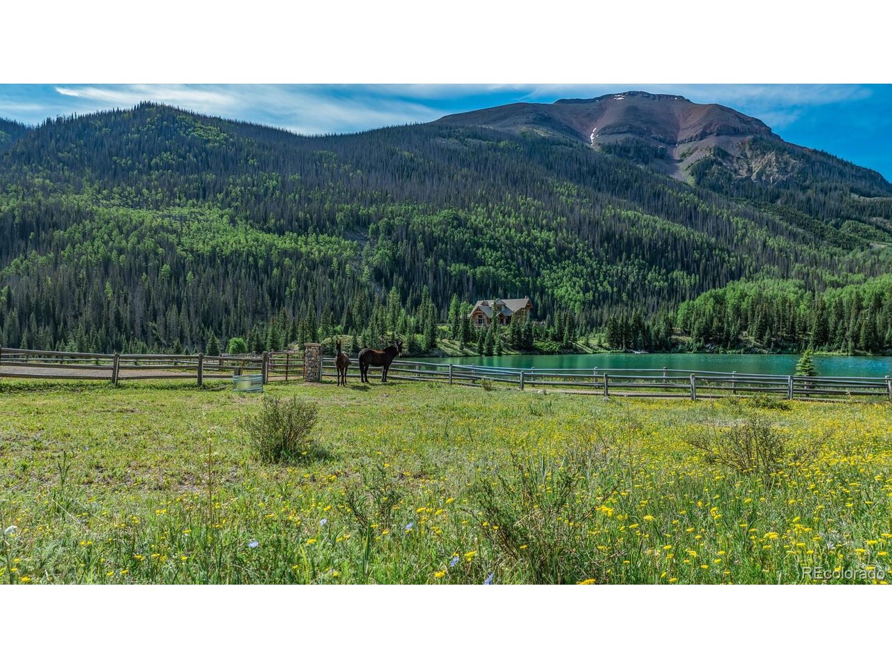 2418 Forest Road Creede, CO 81130 - Photo 41 of 50 a view of a grassy field with trees in the background
