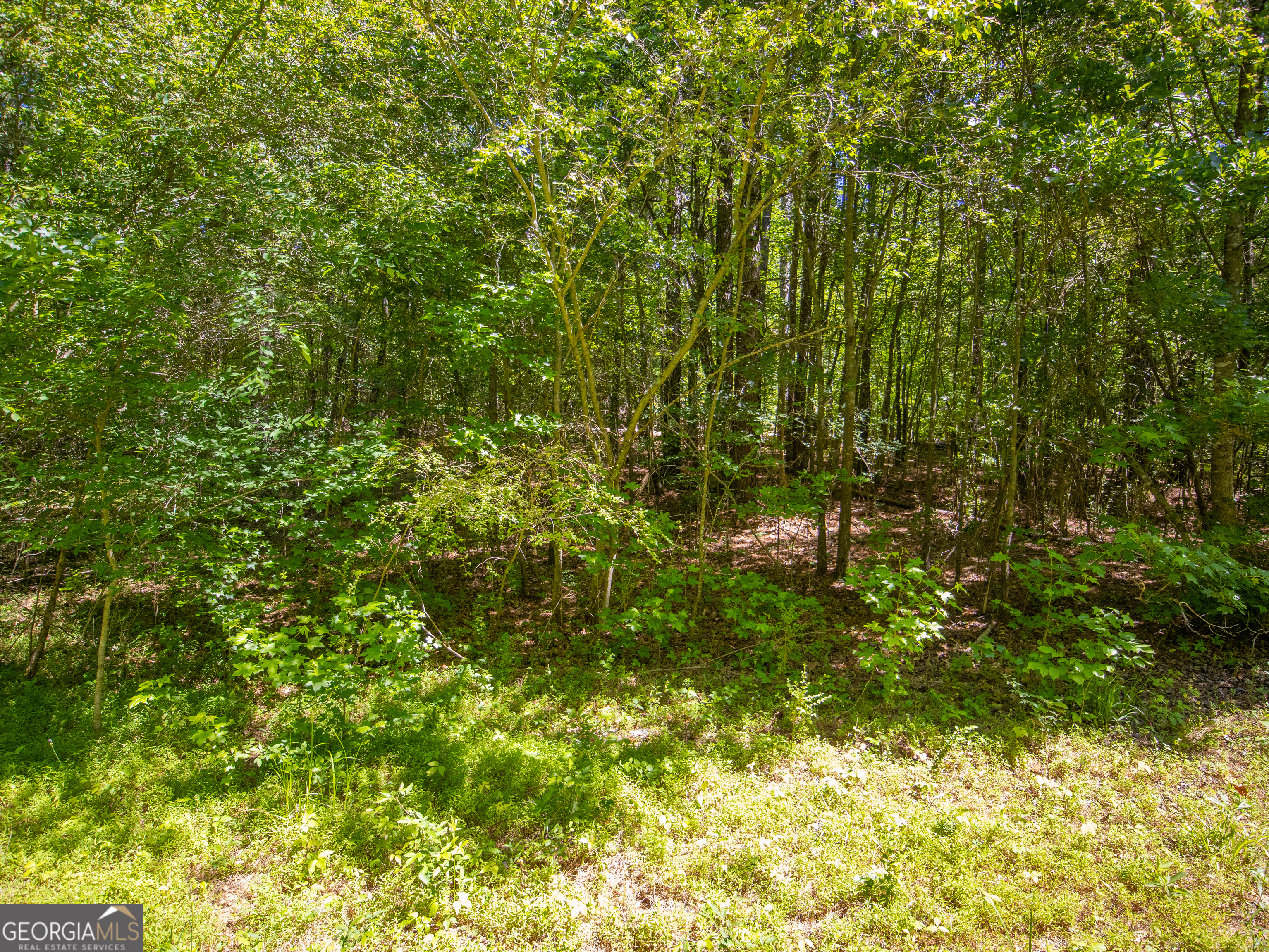5.5-acres Bronco Road LaFayette, GA 30728 - Photo 15 of 17 a view of a lush green yard