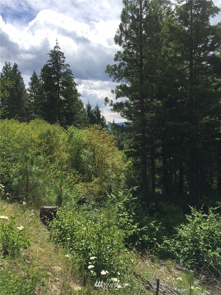 4771 Pc Road Cle Elum, WA 98922 - Photo 3 of 9 Gallery Image 3