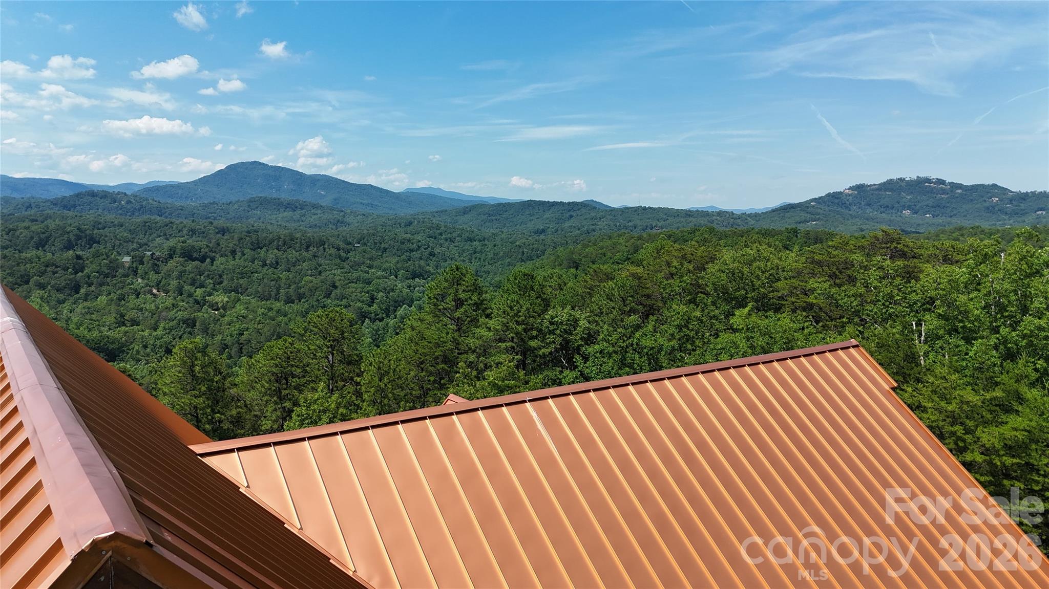 590 Boulder Ridge Lake Lure, NC 28746 - Photo 12 of 18