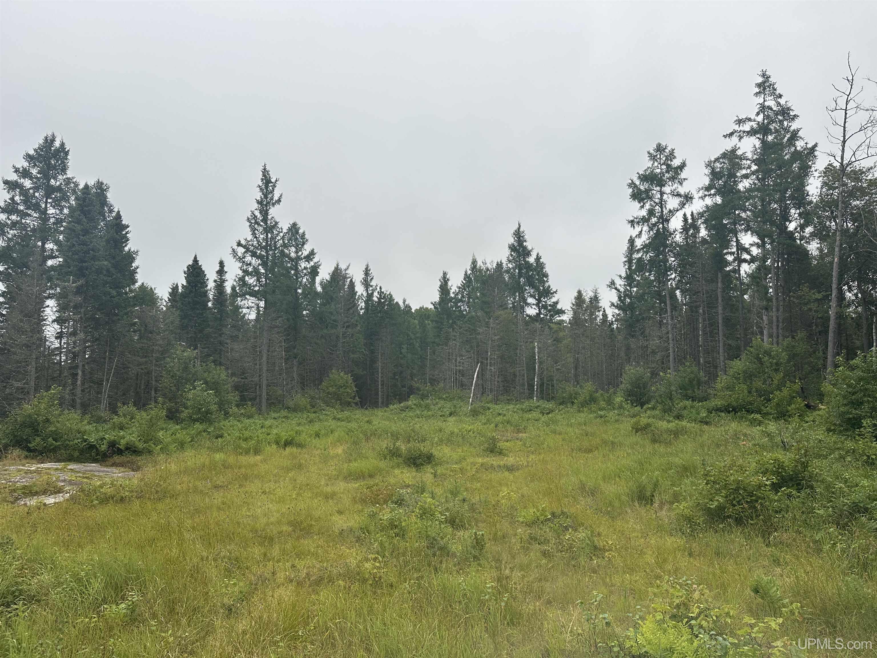 Off South Arfelin Lake Road Michigamme, MI 49861 - Photo 13 of 16