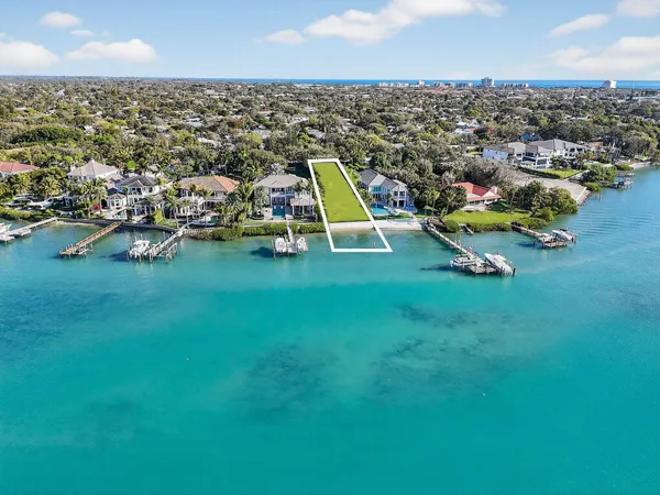 a view of a forest with trees in the background