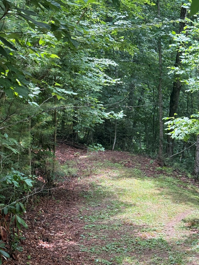 Tbd Pine Log Church Road Brasstown, NC 28902 - Photo 22 of 24