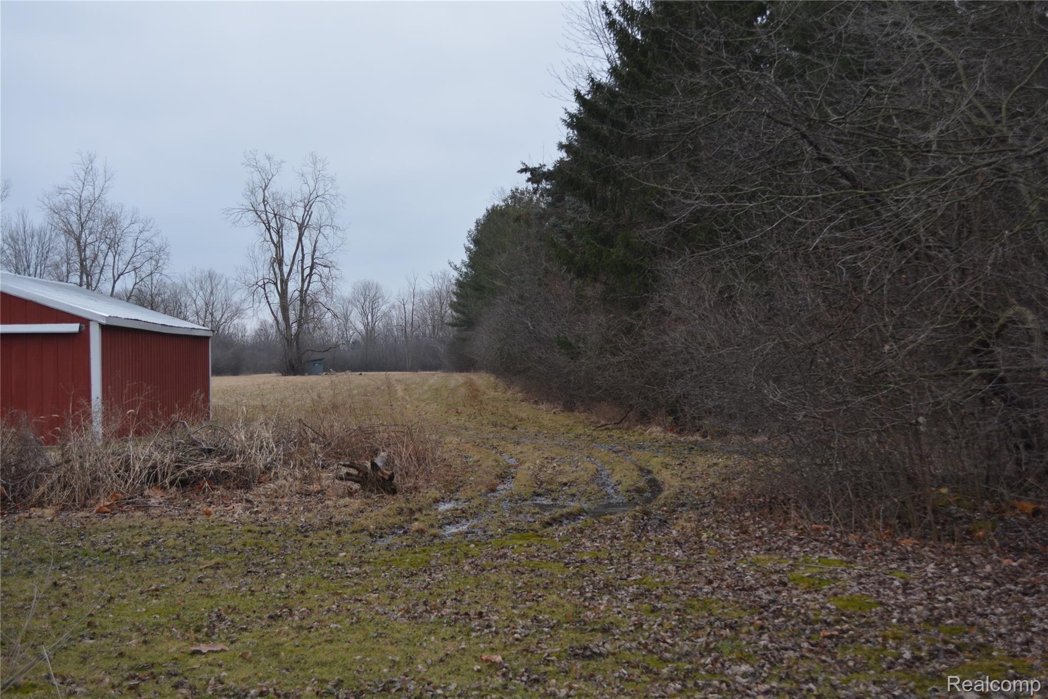 30367 Fort Road Rockwood, MI 48173 - Photo 9 of 35 30367 Fort St (9).JPG