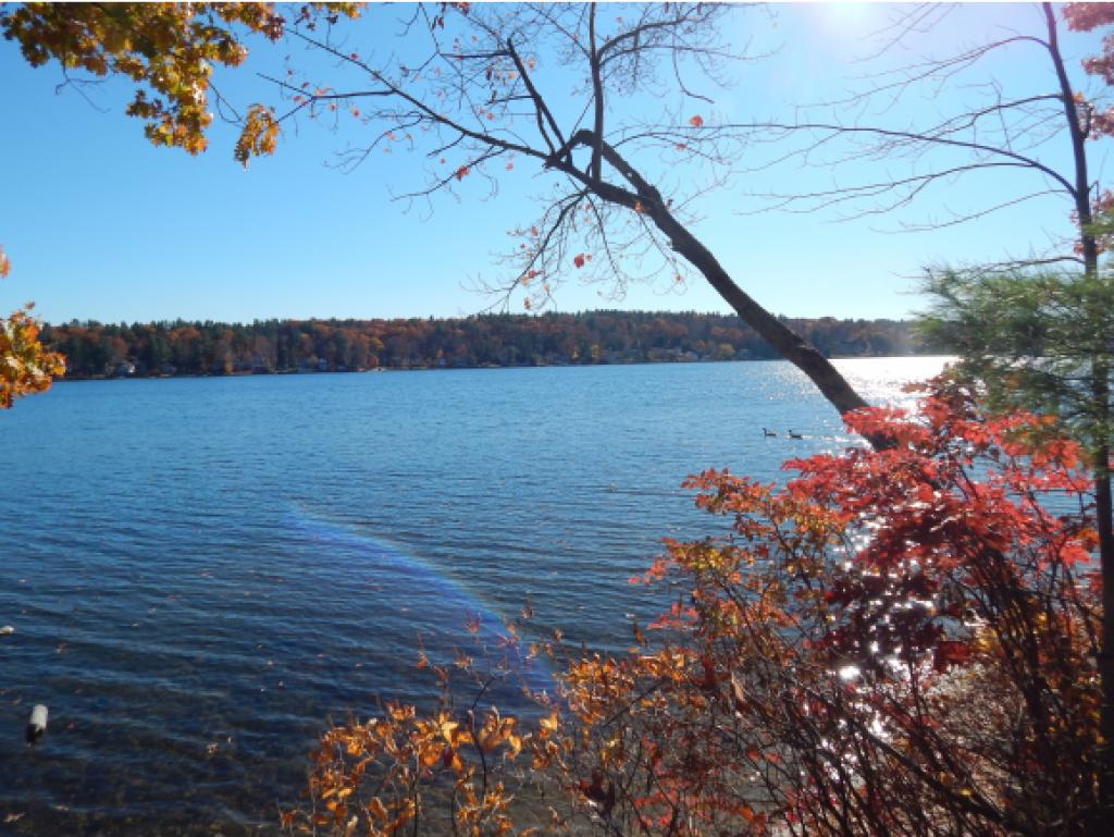 26 Gaumont Road Windham, NH 03087 - Photo 16 of 20