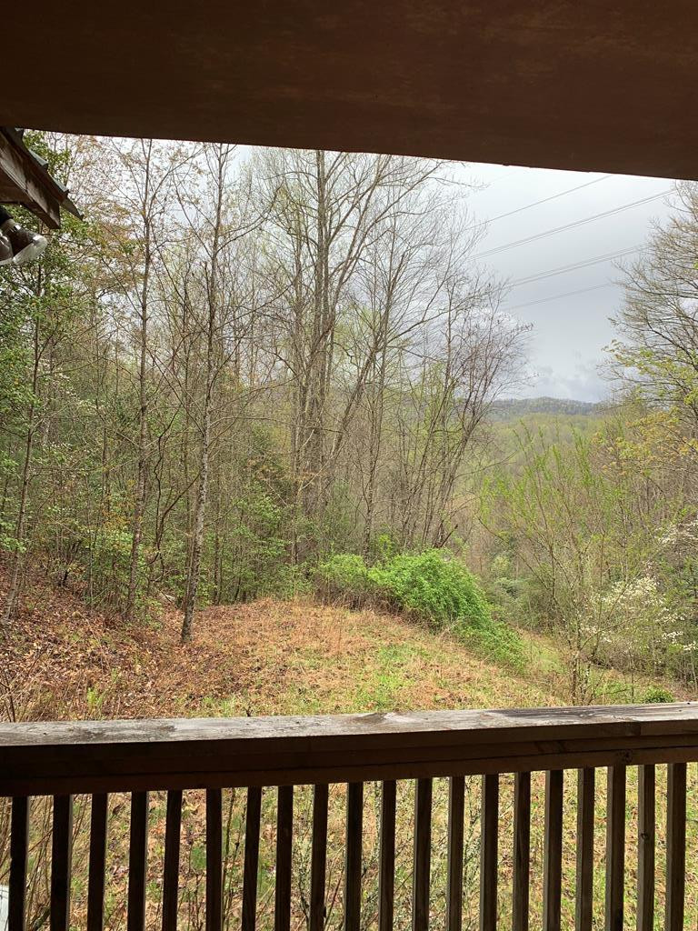 442 Partridge Creek Road Topton, NC 28781 - Photo 2 of 9 Gallery Image 2