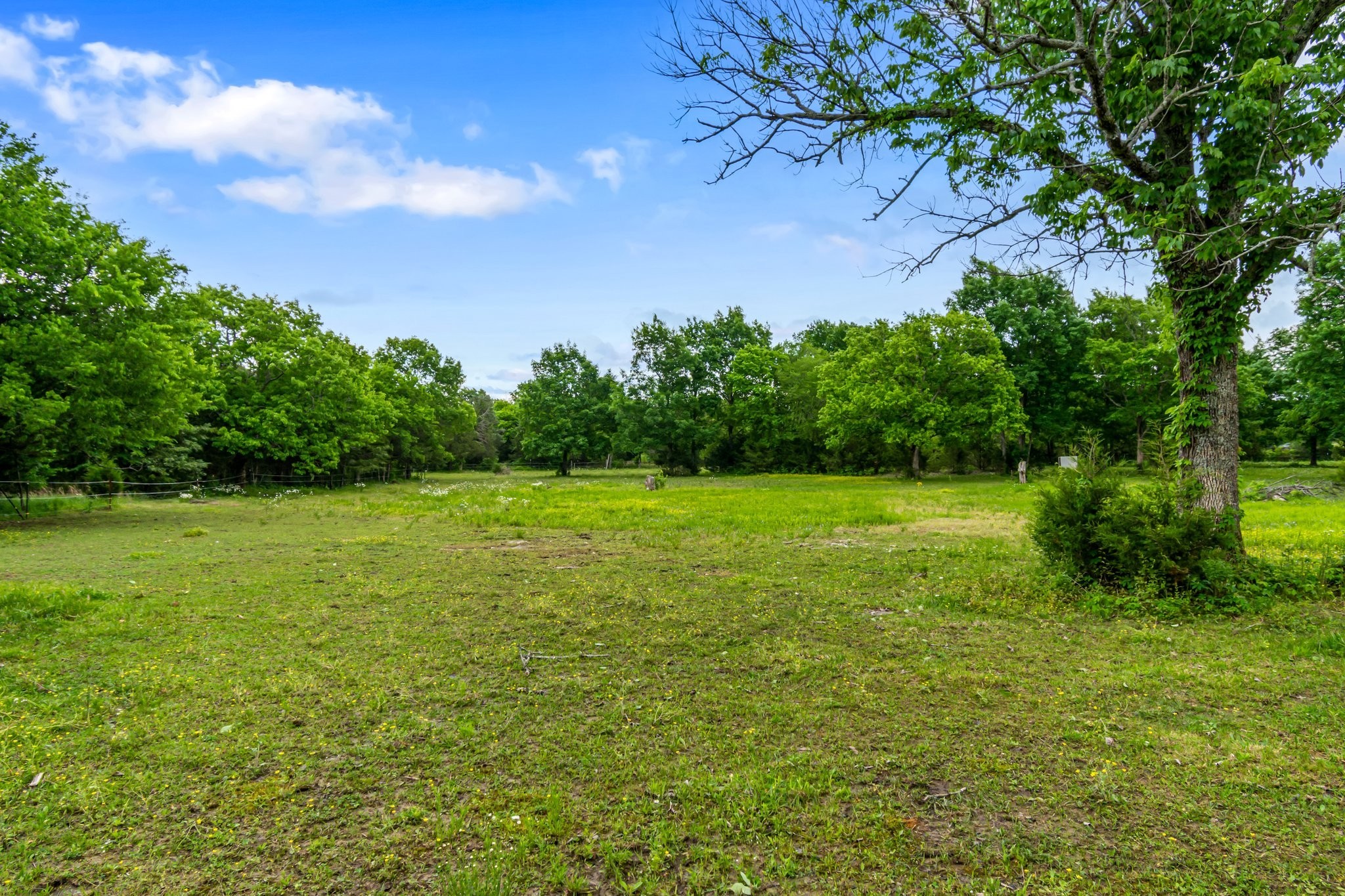 11195 South Windrow Road Rockvale, TN 37153 - Photo 35 of 42 Gallery Image 35