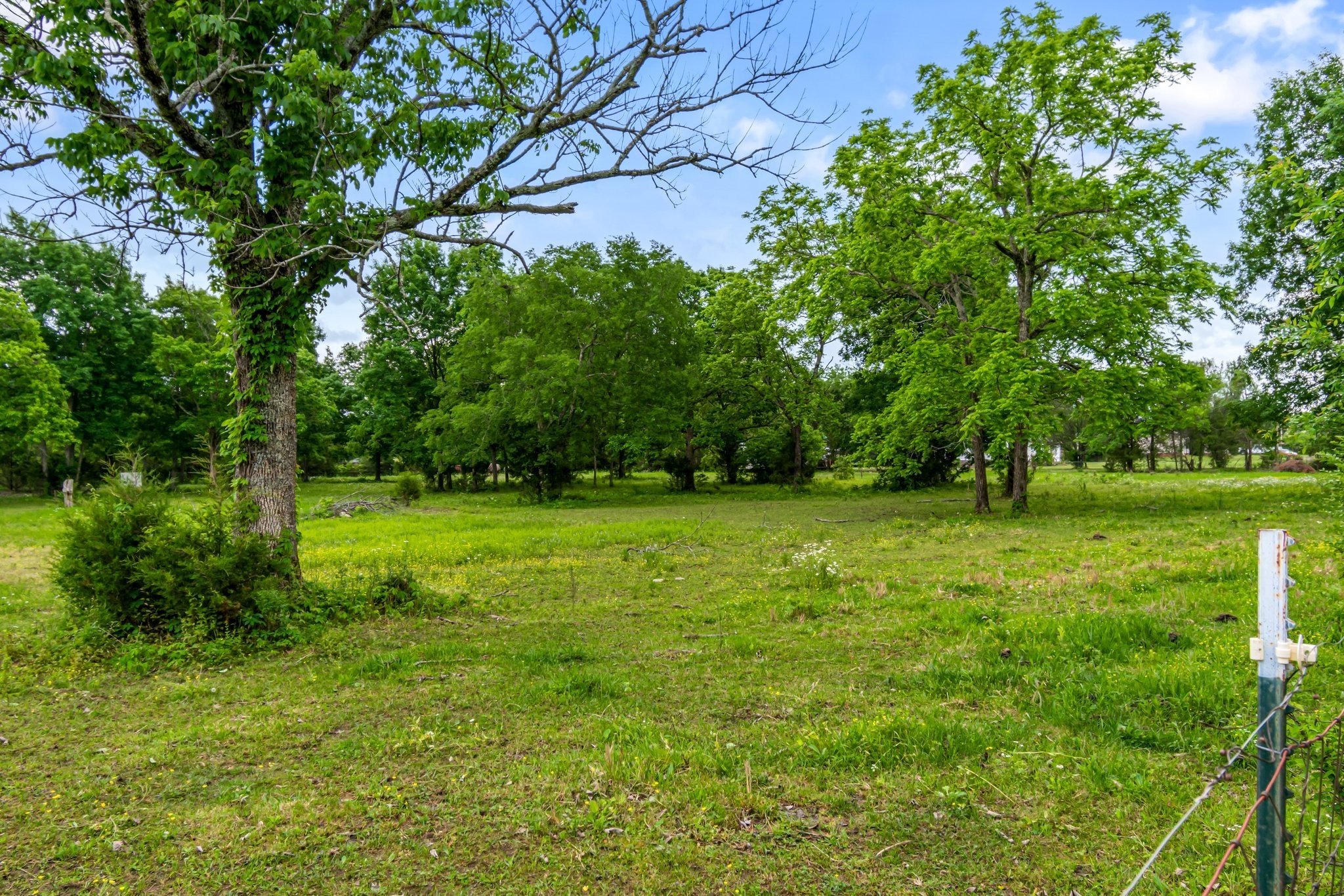 11195 South Windrow Road Rockvale, TN 37153 - Photo 36 of 42 Gallery Image 36
