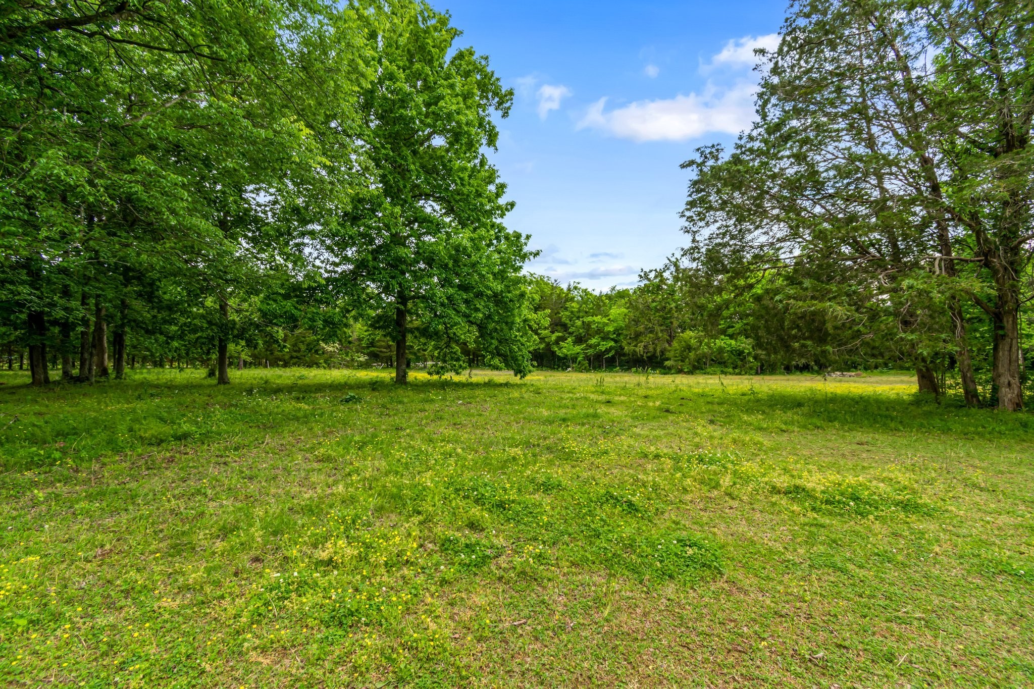 11195 South Windrow Road Rockvale, TN 37153 - Photo 37 of 42 Gallery Image 37
