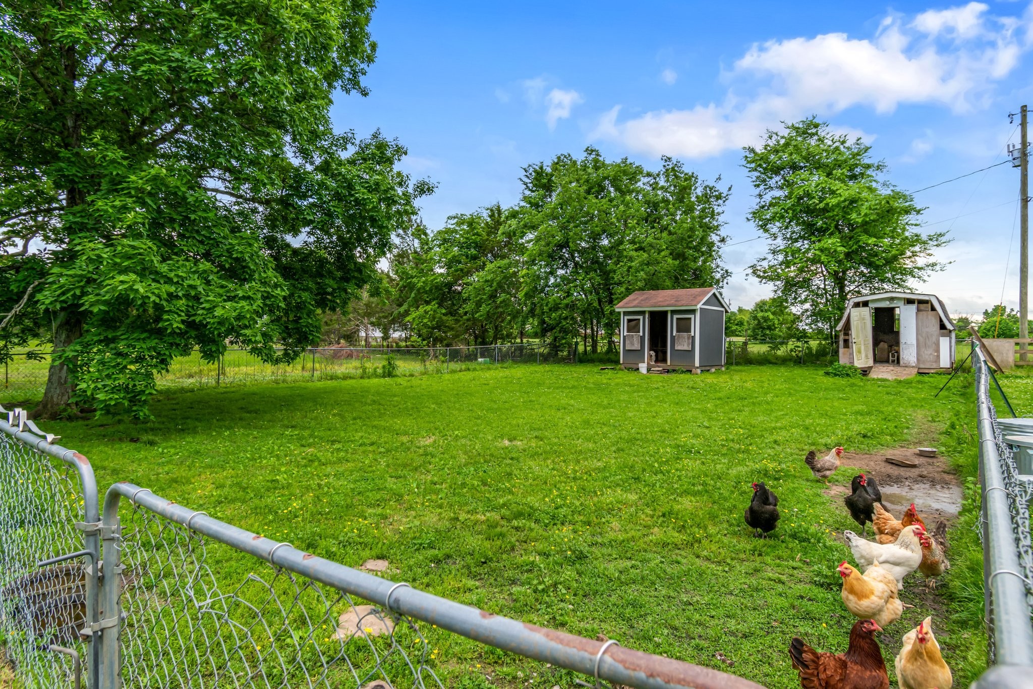 11195 South Windrow Road Rockvale, TN 37153 - Photo 38 of 42 Gallery Image 38