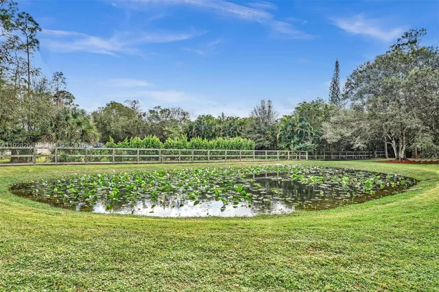a view of a garden with a building in the background