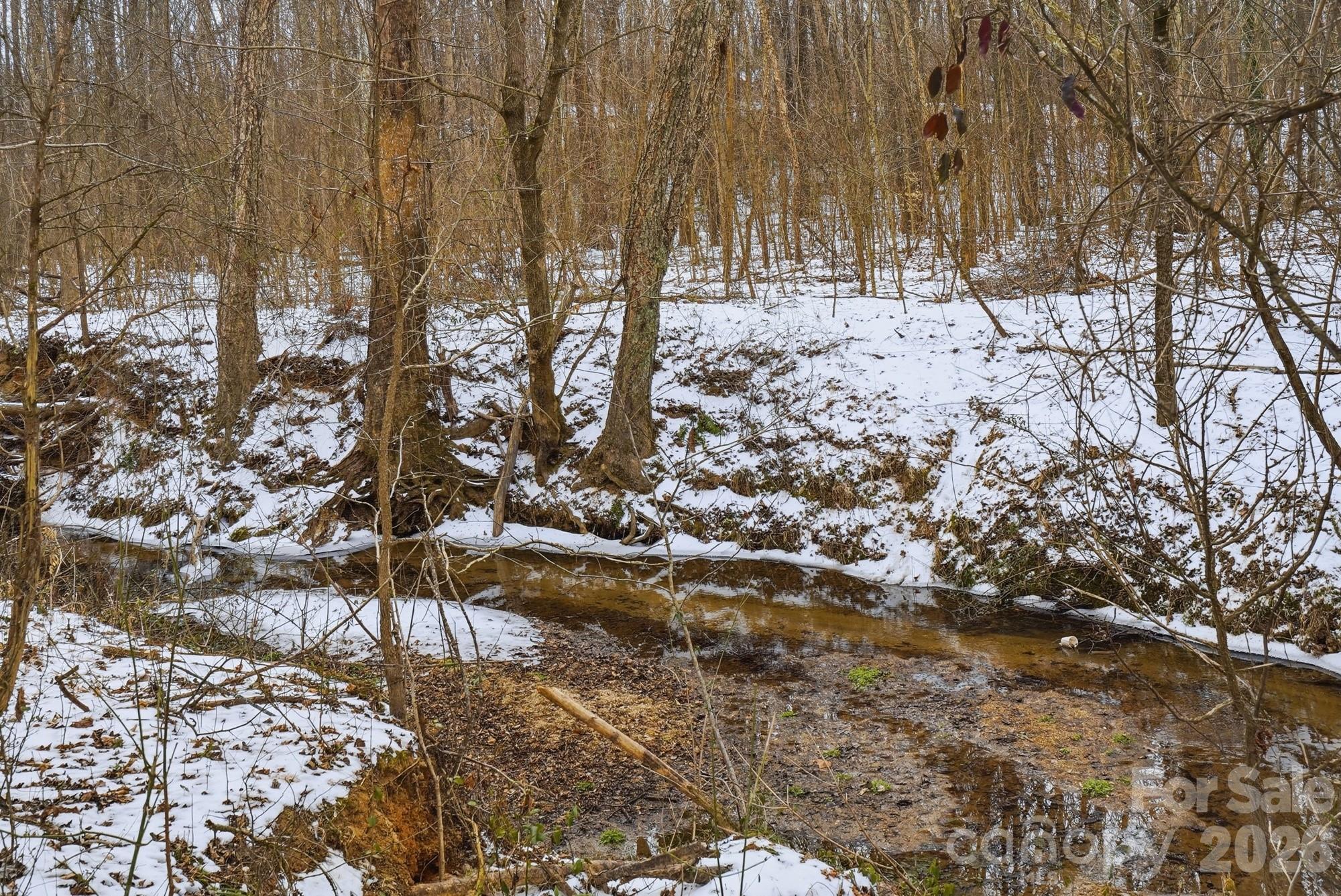 7511 Old Mocksville Road Salisbury, NC 28144 - Photo 41 of 48 a view of covered with snow
