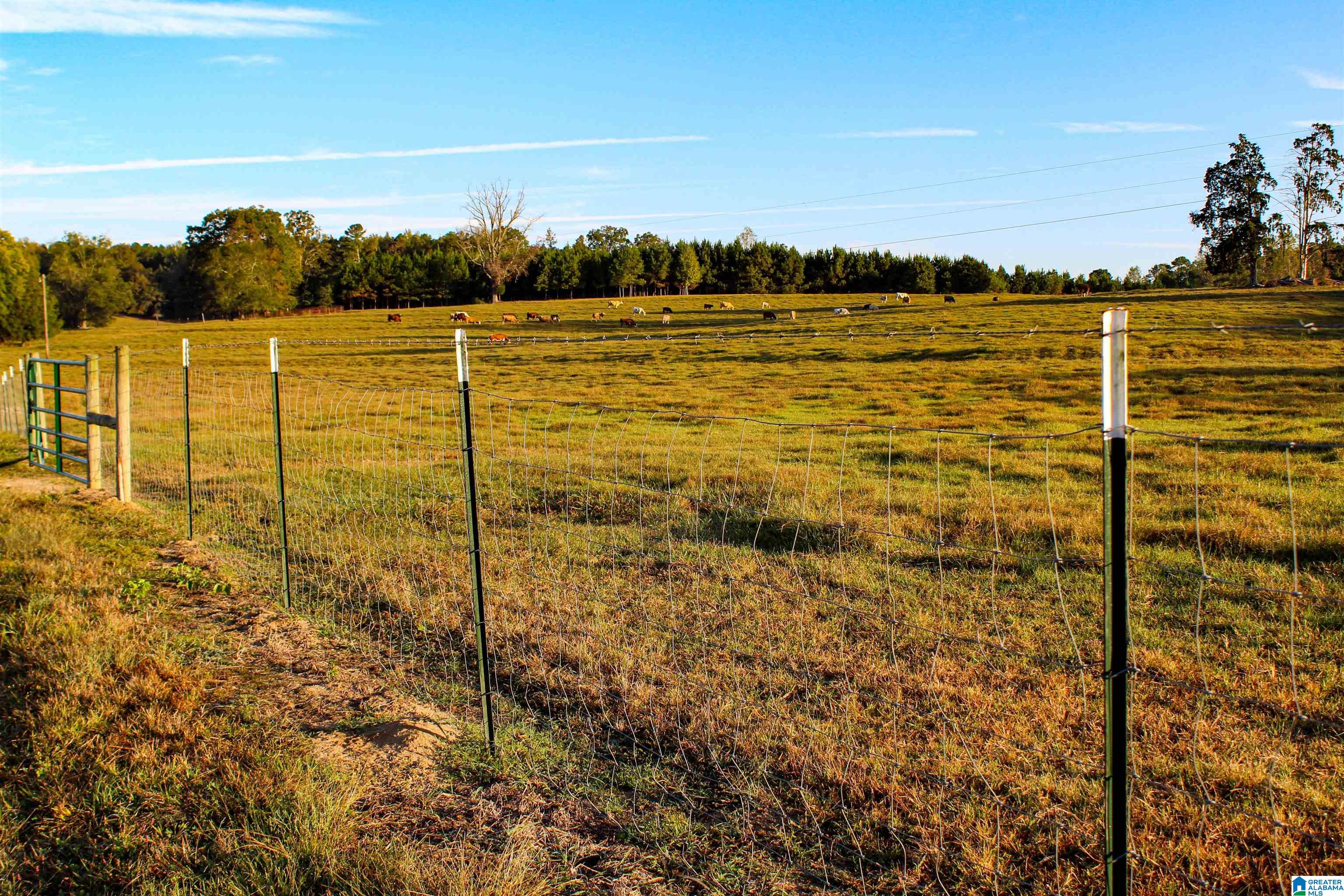 845 Turner Road Fayette, AL 35555 - Photo 46 of 61