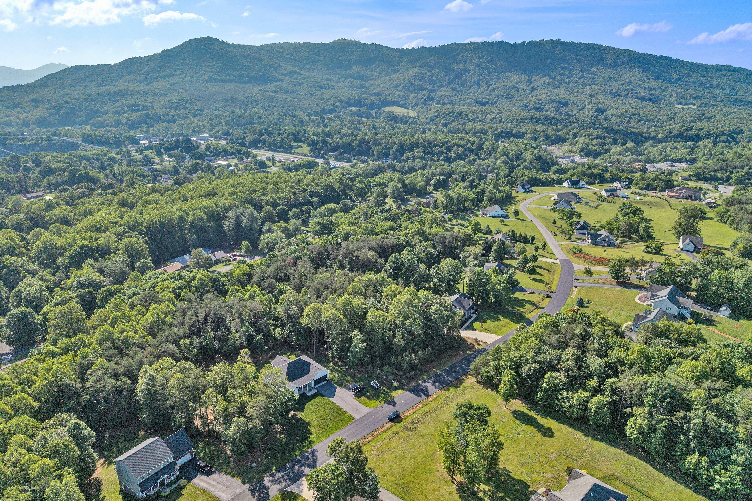43 Thornblade Way Blue Ridge, VA 24064 - Photo 10 of 11 SGP-0013