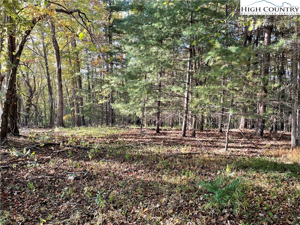 Tom Absher Road Scottville, NC 28672 - Photo 1 of 14 a backyard of a house with lots of green space