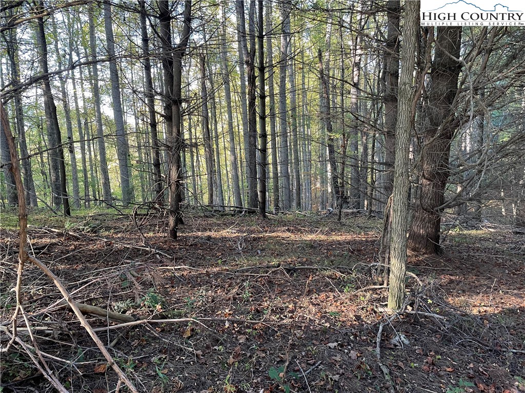 Tom Absher Road Scottville, NC 28672 - Photo 11 of 14 a backyard of a house with lots of green space