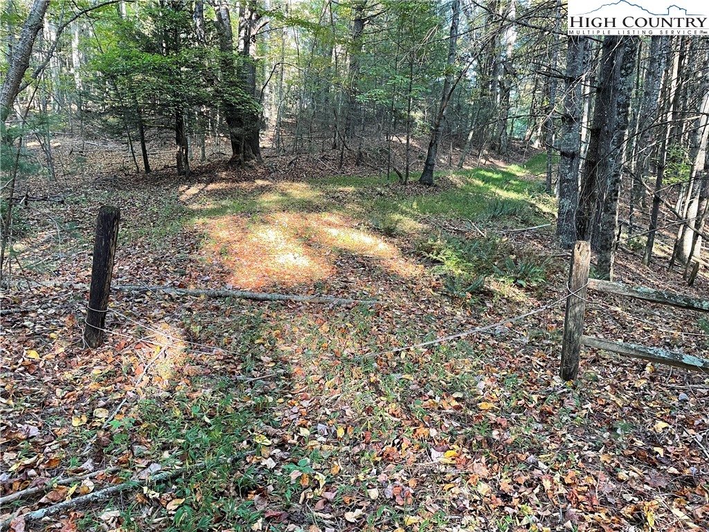 Tom Absher Road Scottville, NC 28672 - Photo 12 of 14 a view of yard
