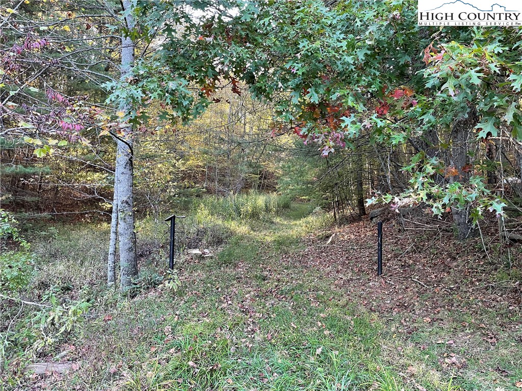 Tom Absher Road Scottville, NC 28672 - Photo 14 of 14 a backyard of a house with lots of green space