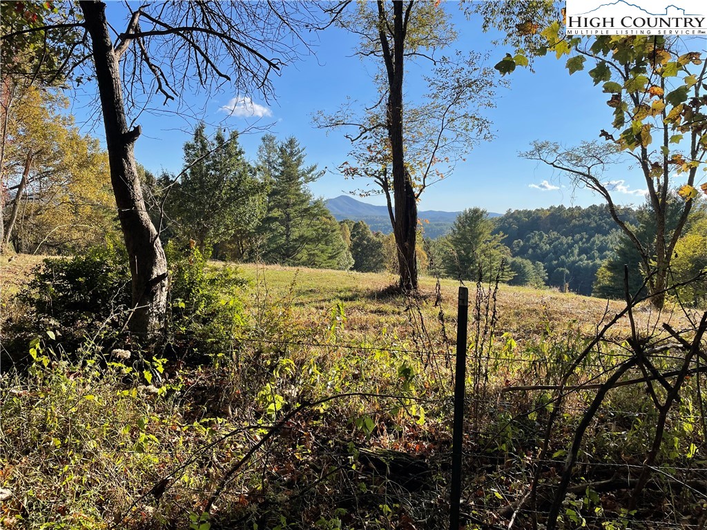 Tom Absher Road Scottville, NC 28672 - Photo 2 of 14 a view of yard with outdoor seating