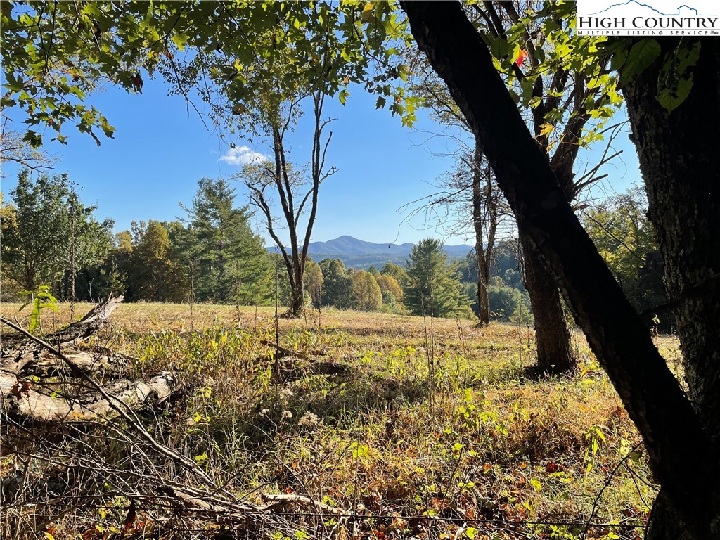 Tom Absher Road Scottville, NC 28672 - Photo 3 of 14 a view of a yard with an trees