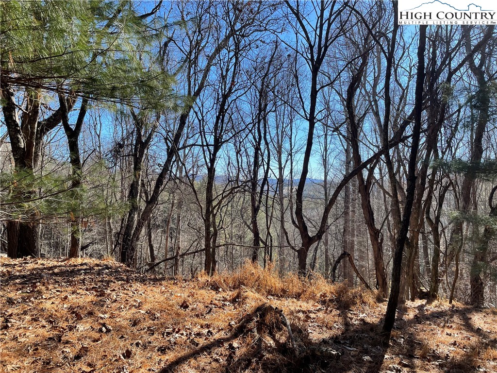 Tom Absher Road Scottville, NC 28672 - Photo 4 of 14 a backyard of a house with lots of green space